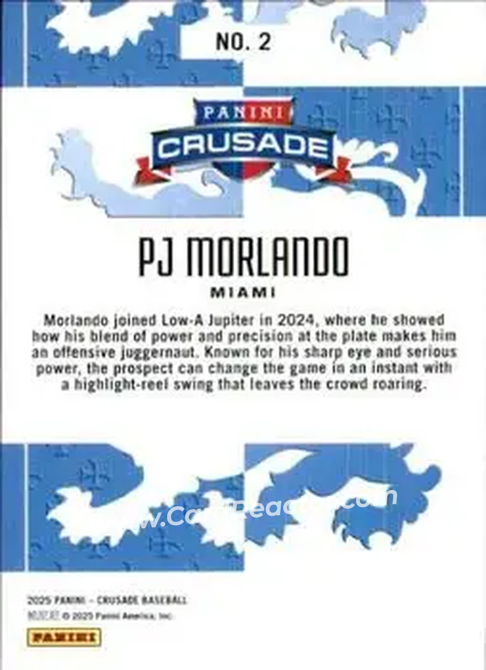 Back of PJ Morlando