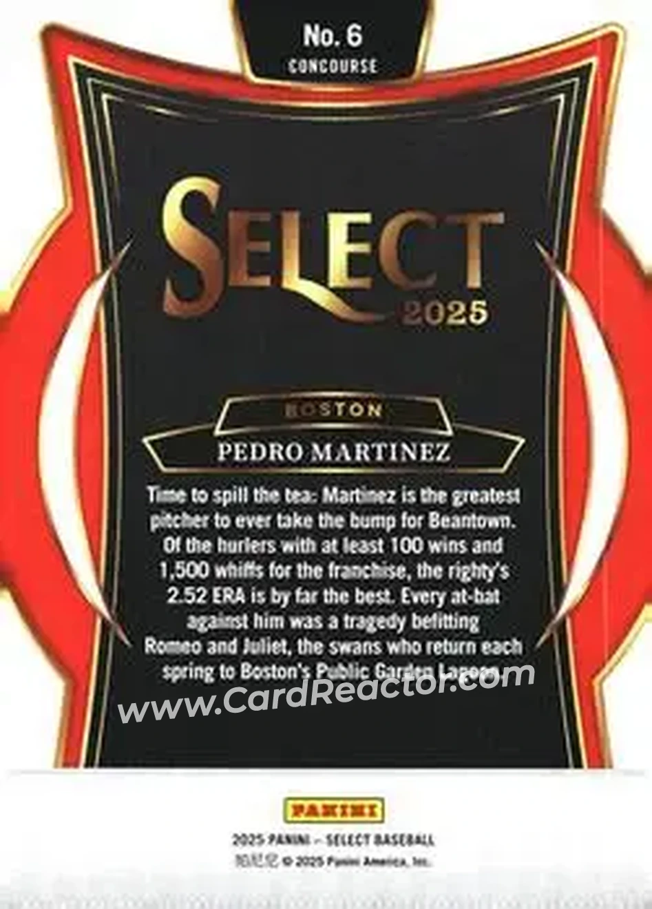 Back of Pedro Martinez