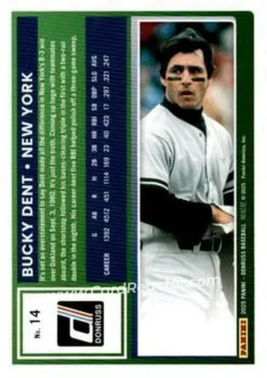 Back of Bucky Dent