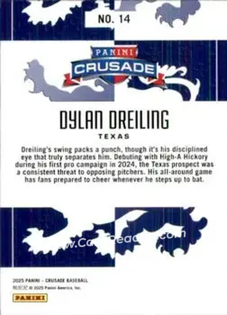 Back of Dylan Dreiling