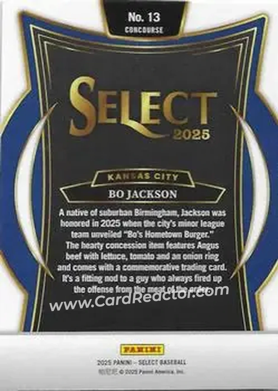 Back of Bo Jackson