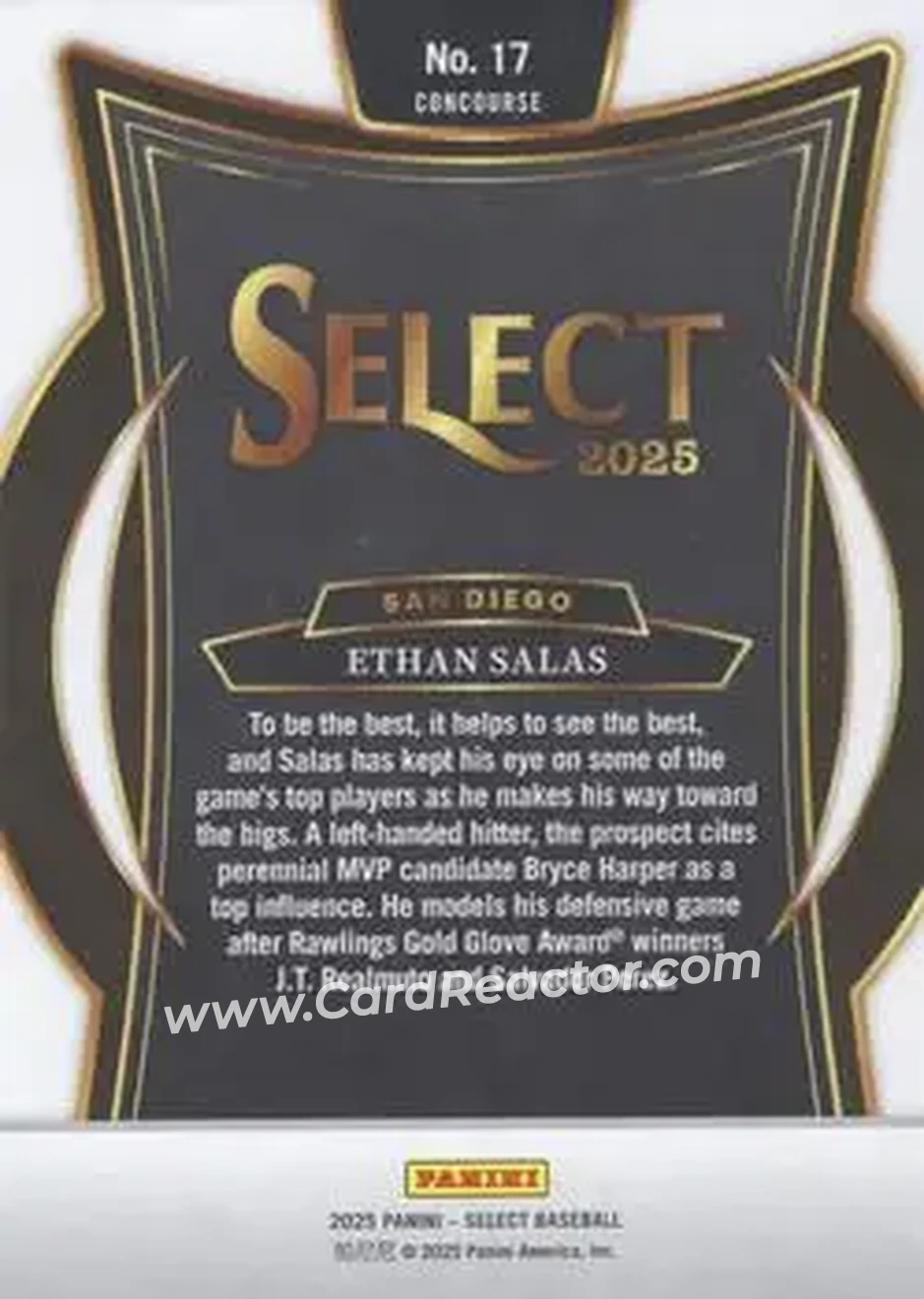 Back of Ethan Salas
