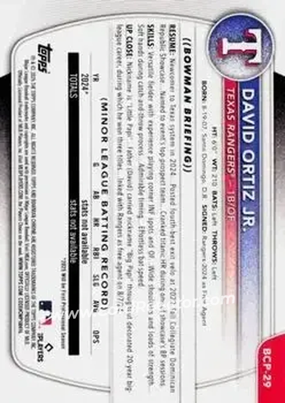 Back of David Ortiz Jr.