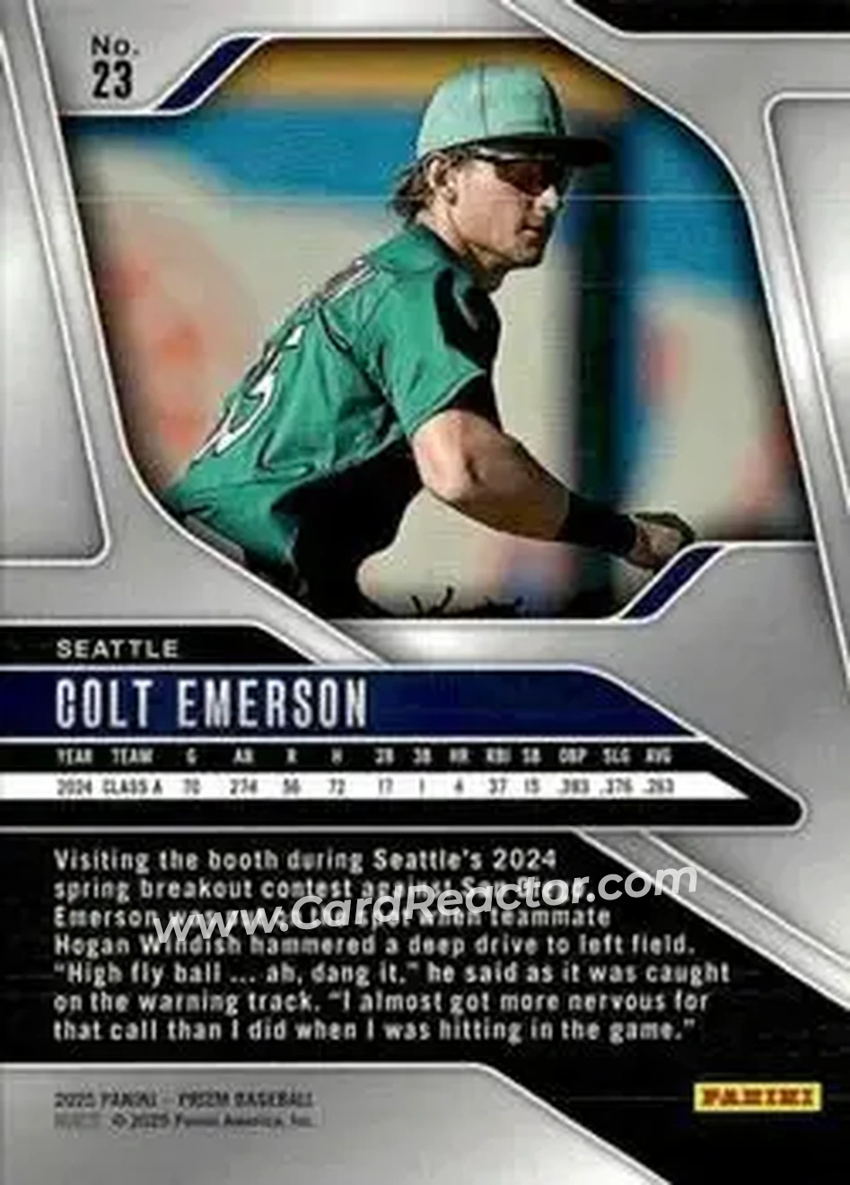 Back of Colt Emerson