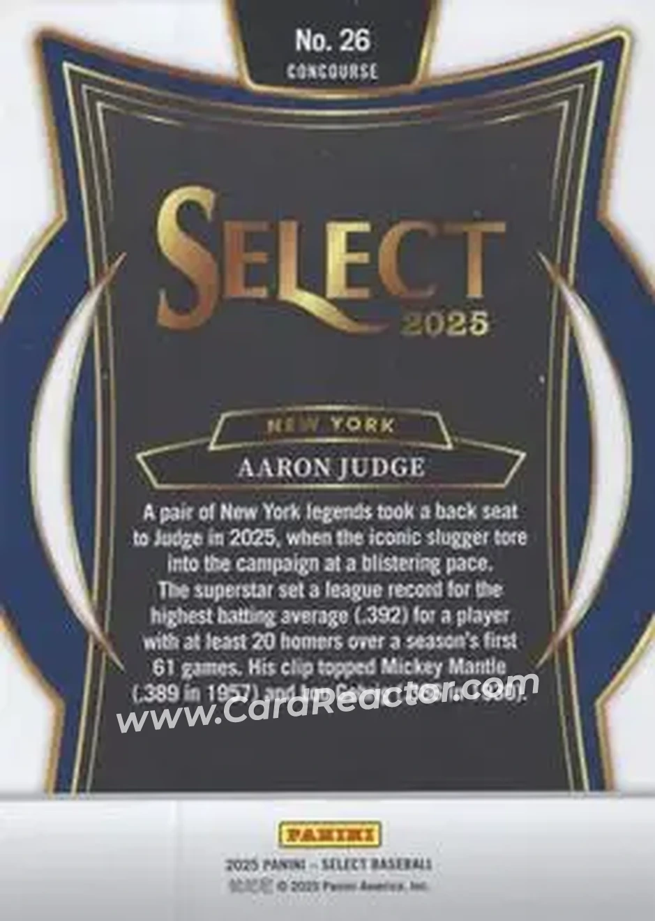 Back of Aaron Judge