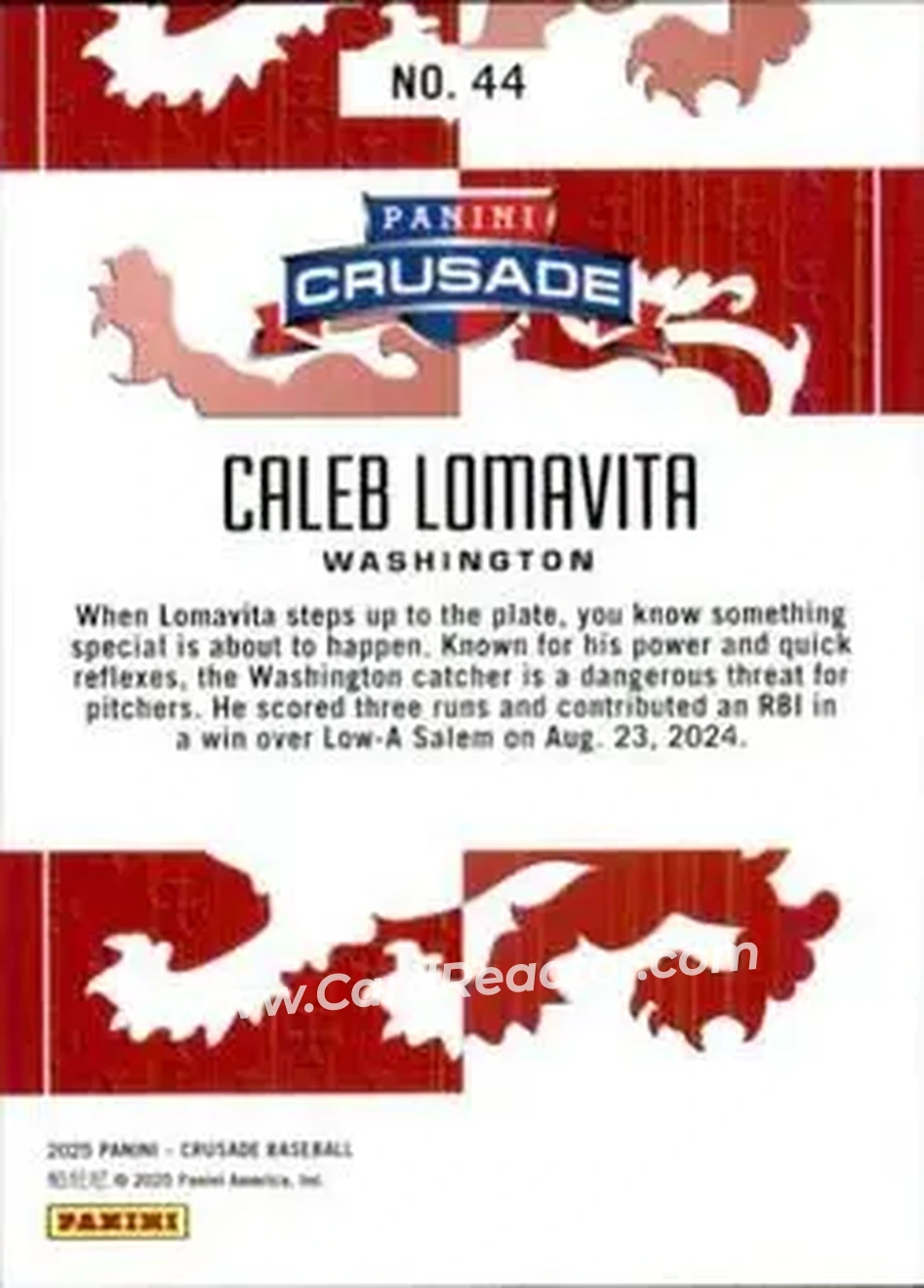 Back of Caleb Lomavita