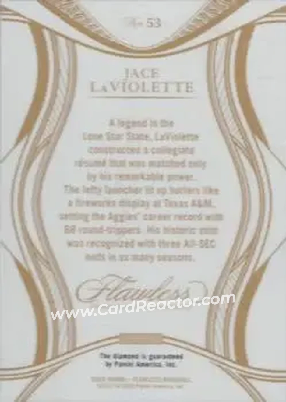 Back of Jace LaViolette