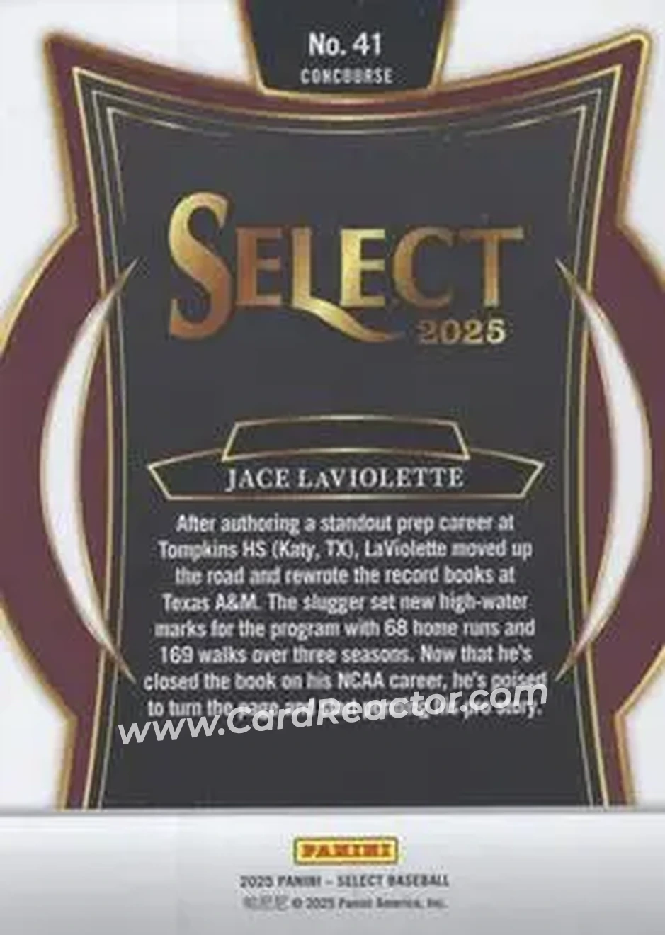 Back of Jace LaViolette