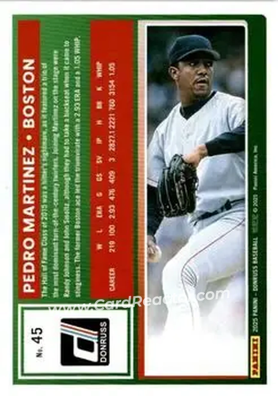 Back of Pedro Martinez