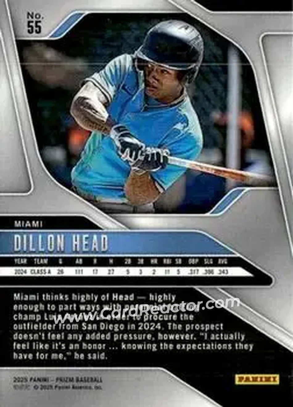Back of Dillon Head