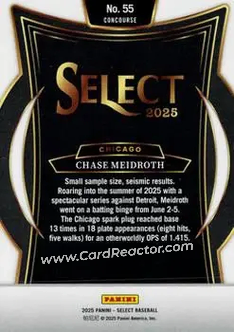Back of Chase Meidroth