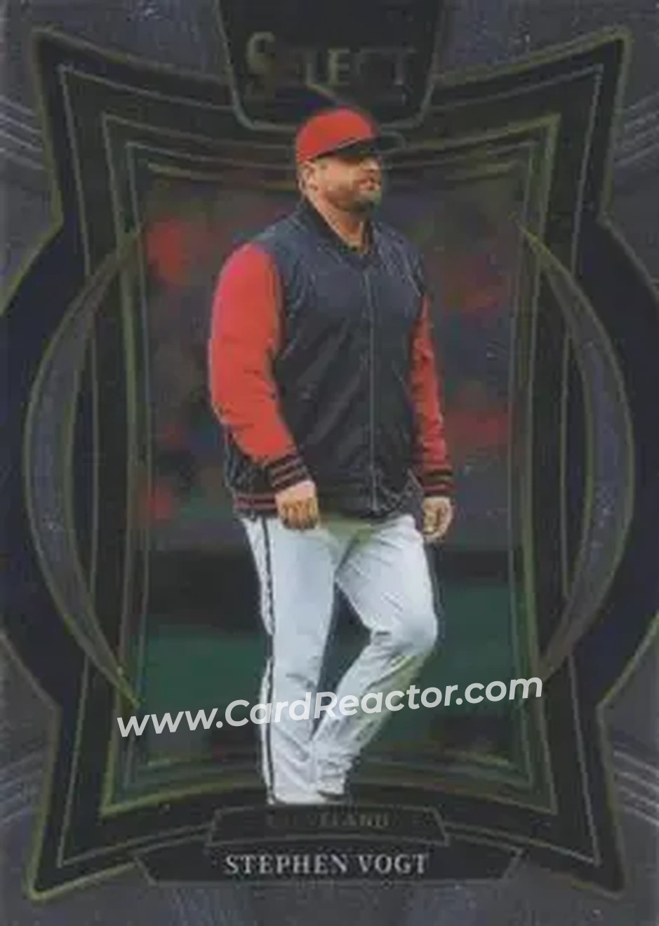 Front of Stephen Vogt