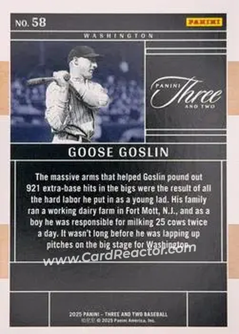 Back of Goose Goslin