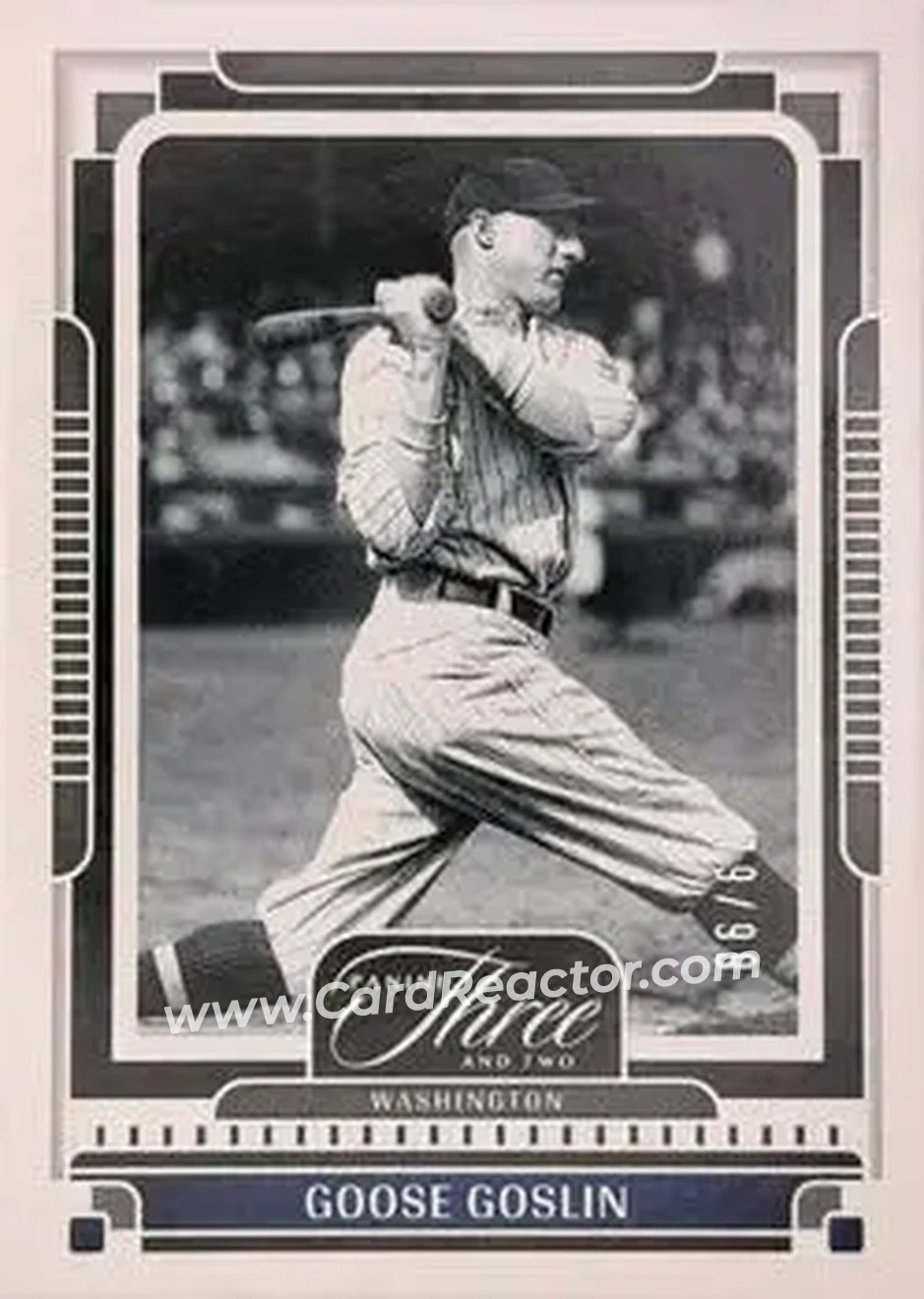 Front of Goose Goslin