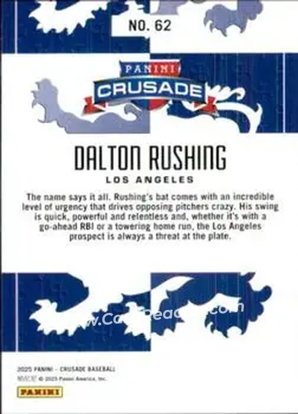 Back of Dalton Rushing