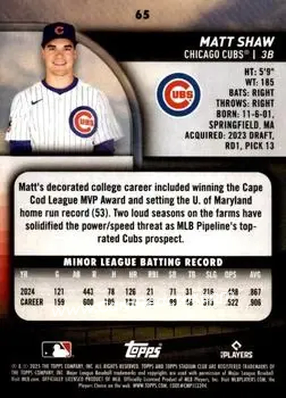 Back of Matt Shaw
