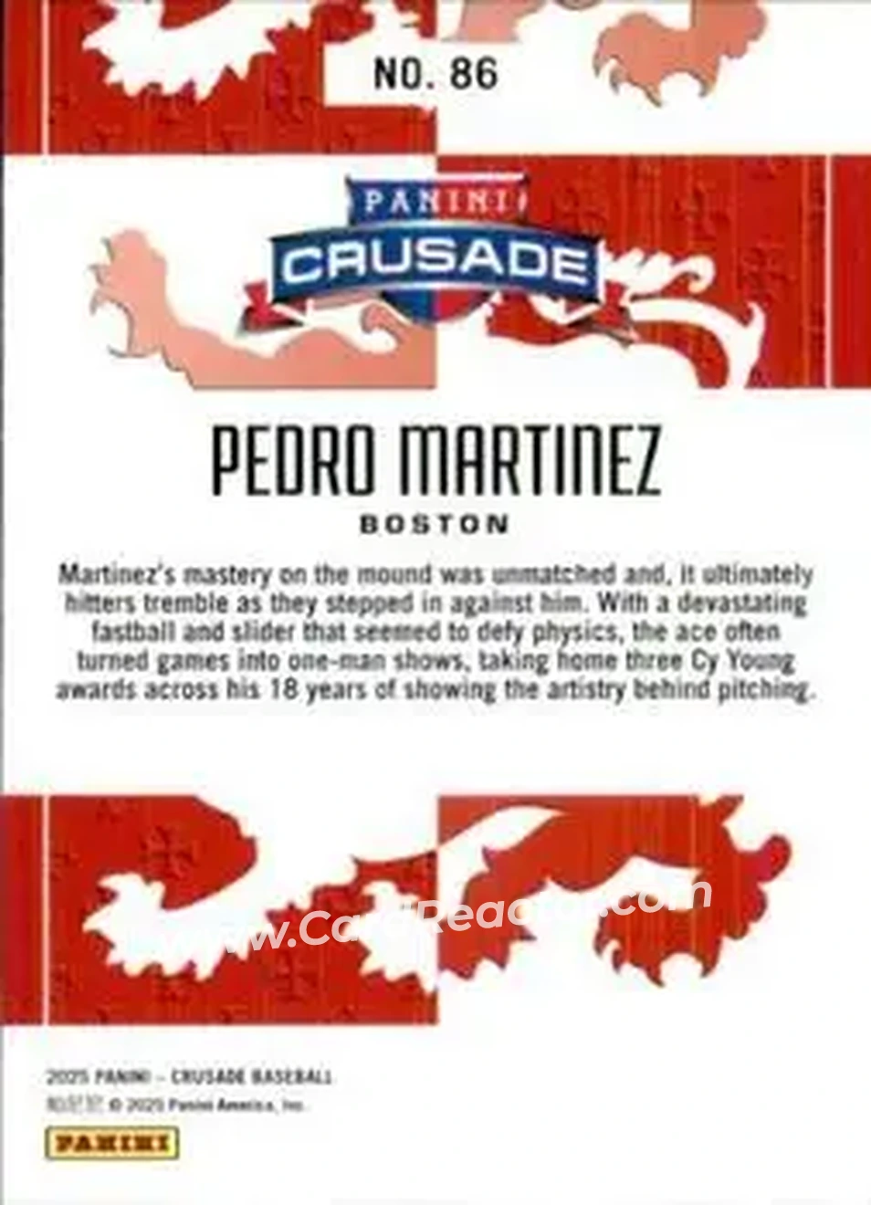 Back of Pedro Martinez