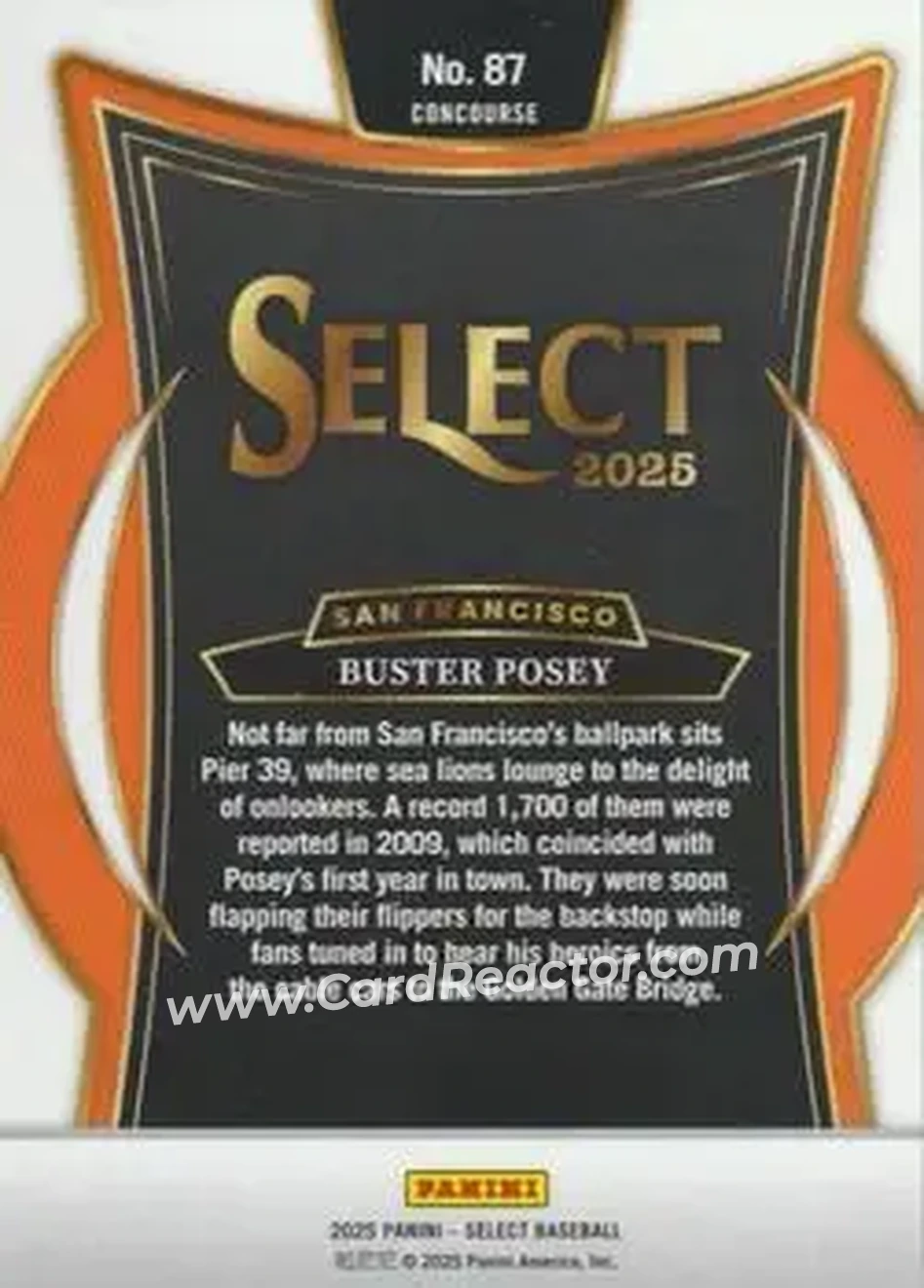 Back of Buster Posey