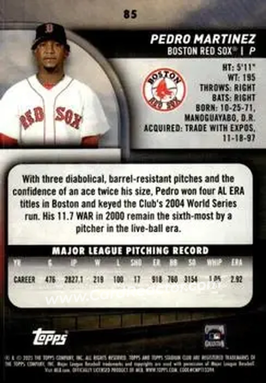 Back of Pedro Martinez