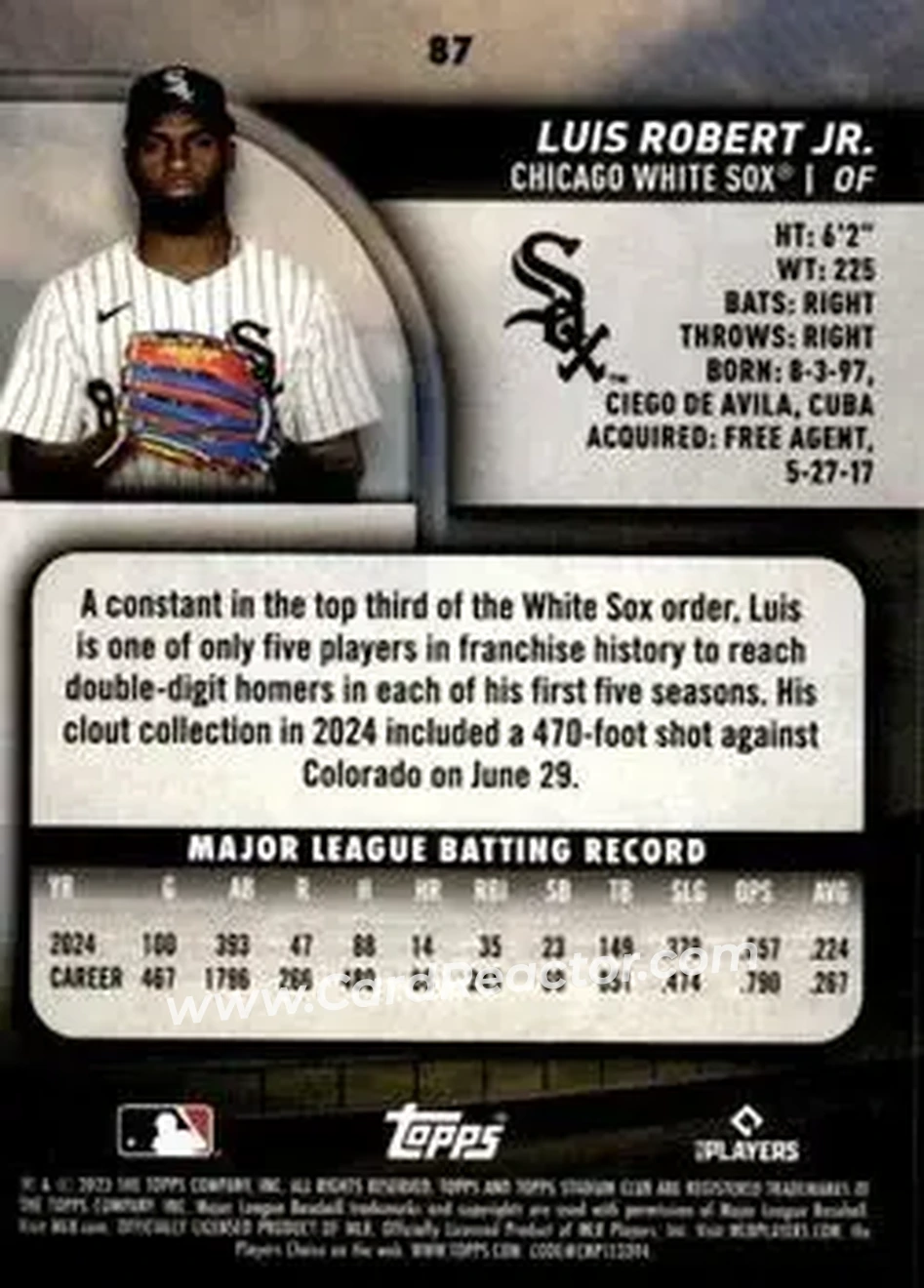 Back of Luis Robert Jr.