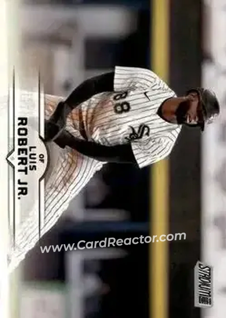 Front of Luis Robert Jr.