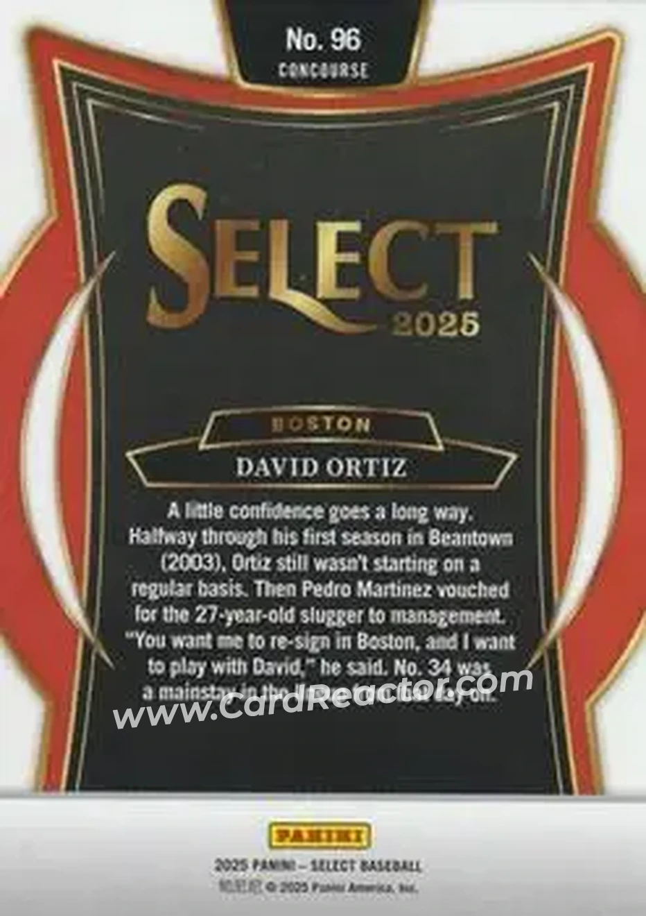 Back of David Ortiz