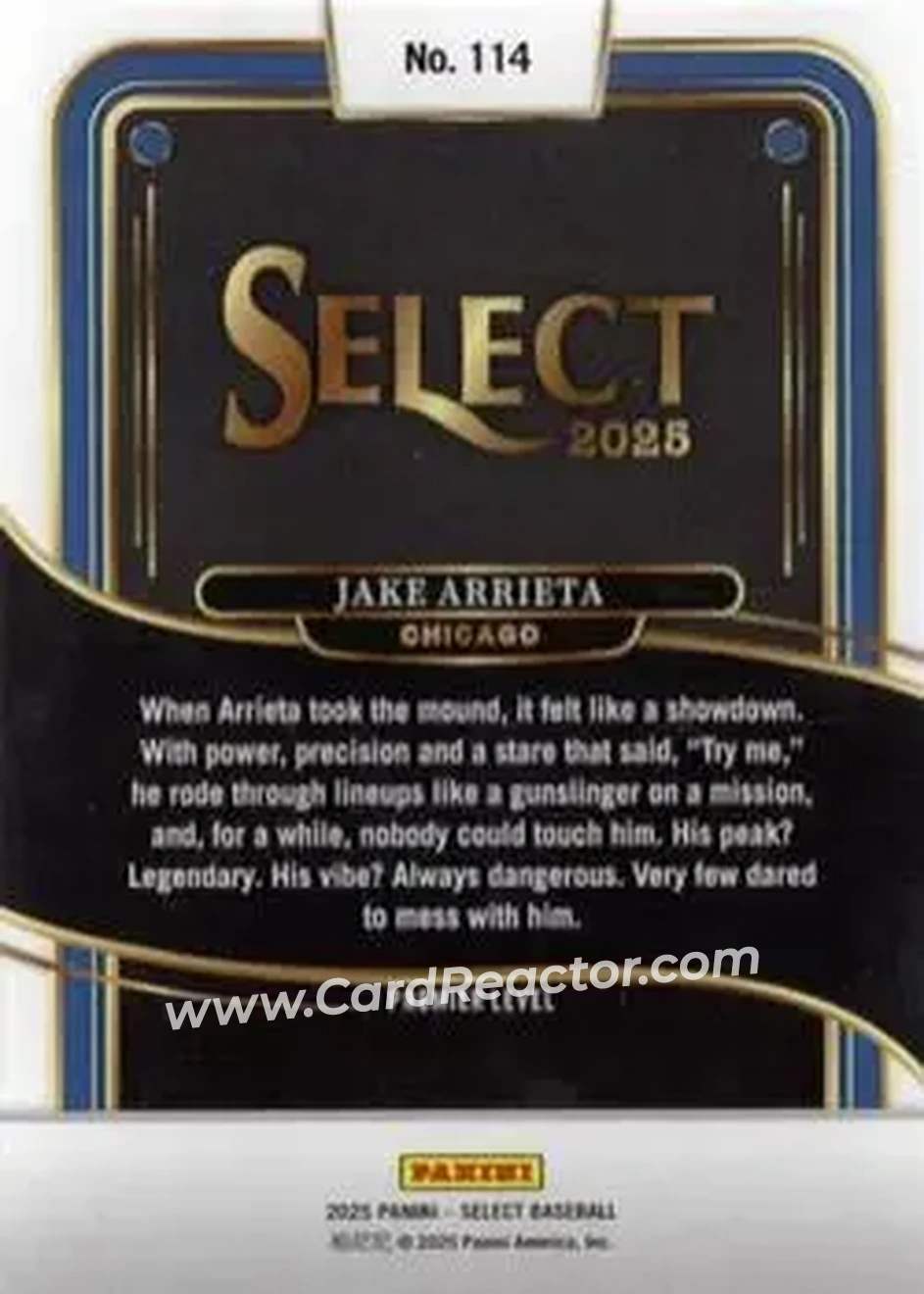 Back of Jake Arrieta