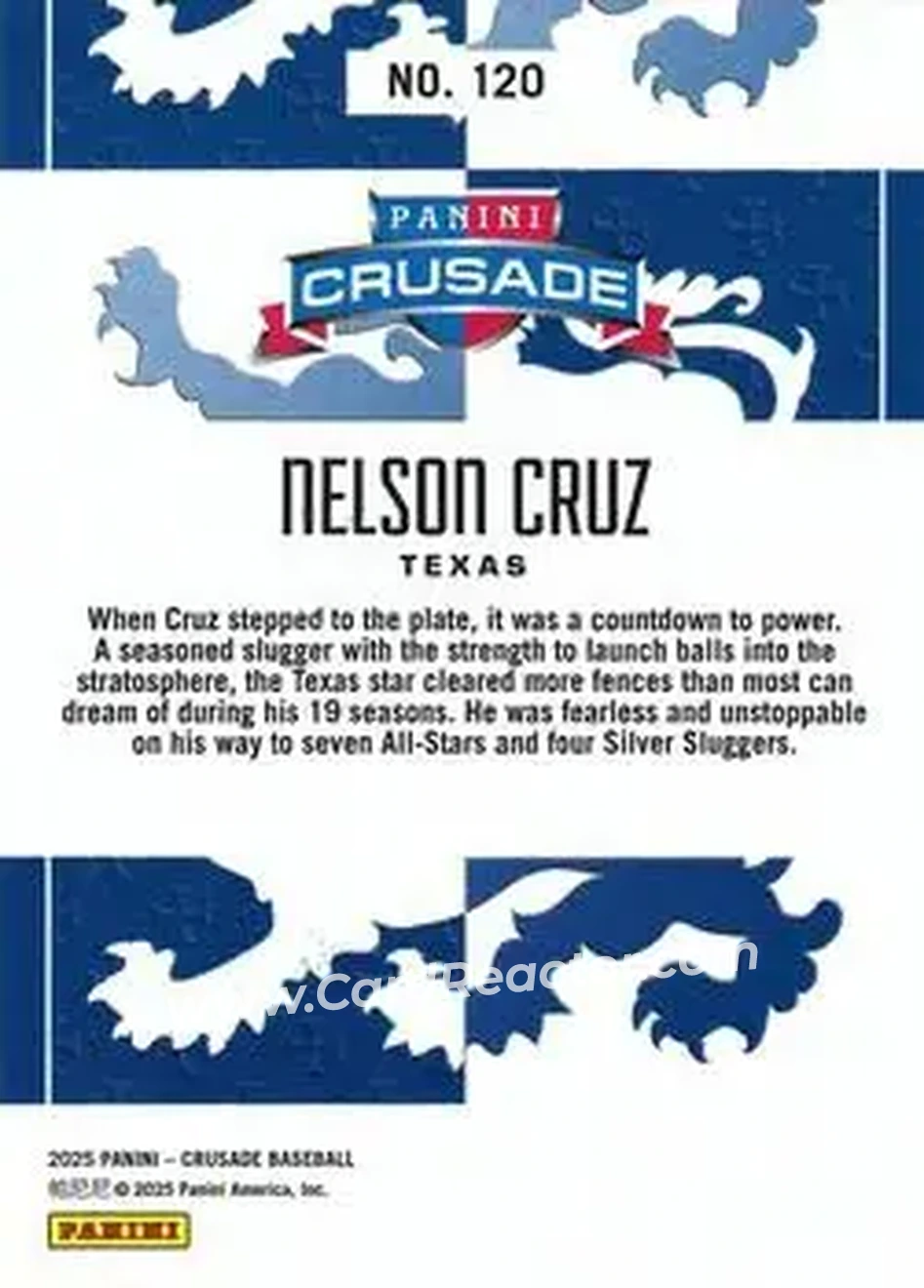 Back of Nelson Cruz