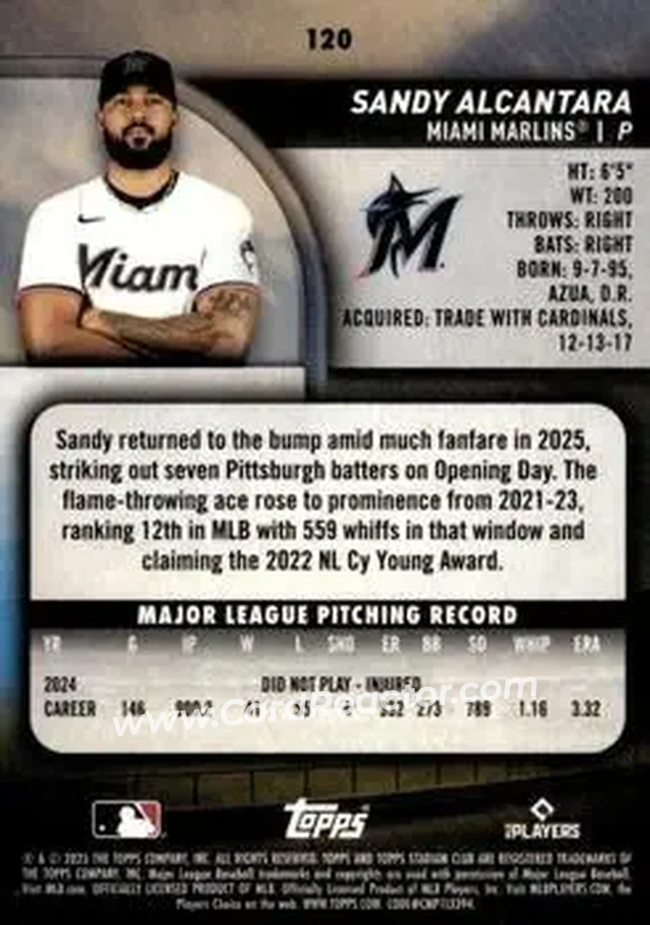 Back of Sandy Alcantara