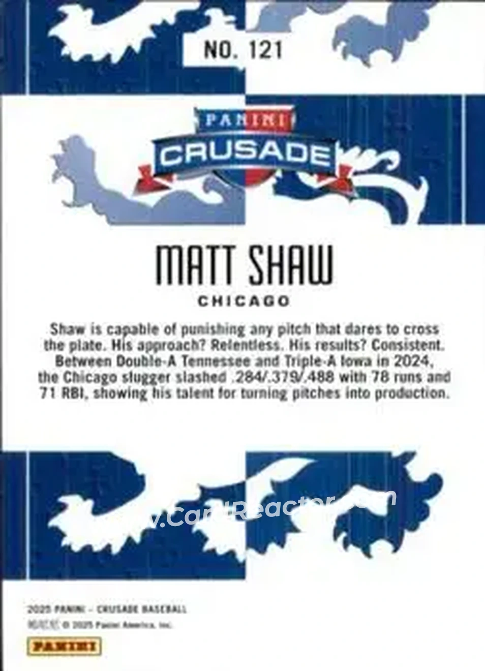 Back of Matt Shaw