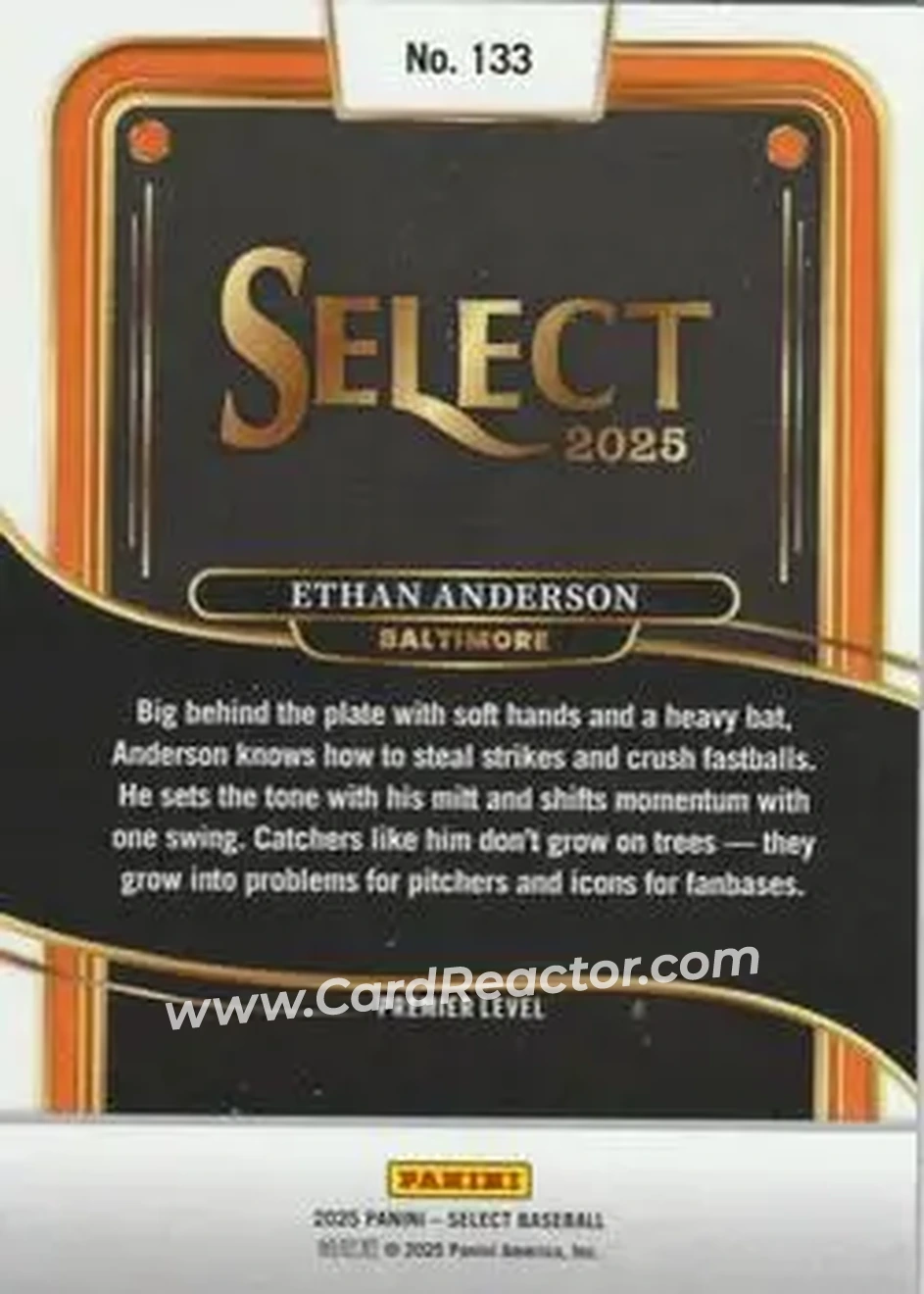 Back of Ethan Anderson