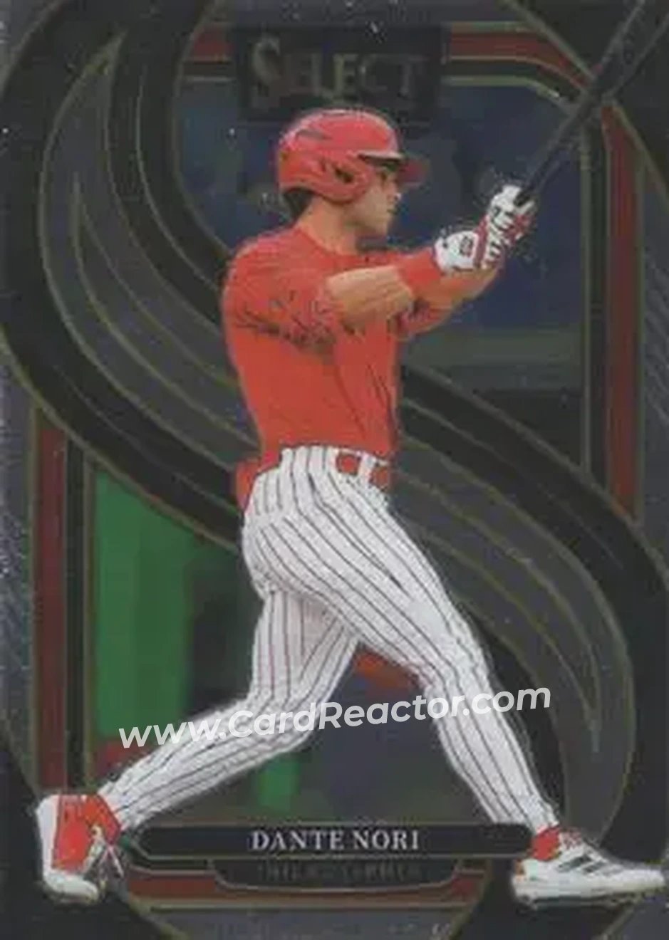 Front of Dante Nori