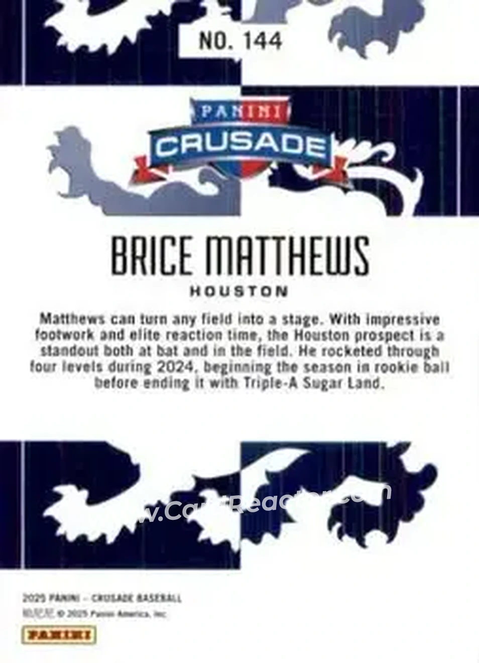 Back of Brice Matthews