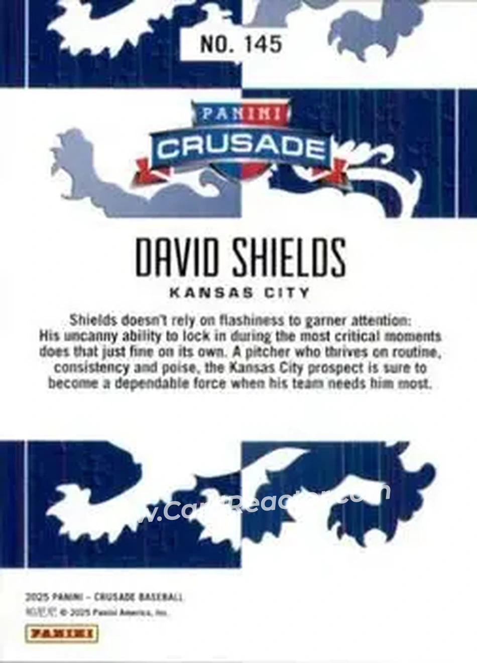 Back of David Shields