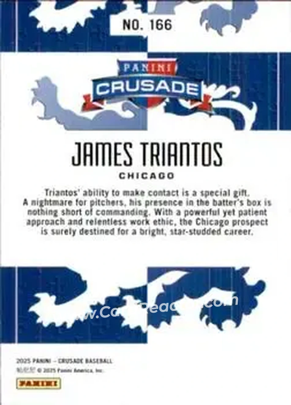 Back of James Triantos