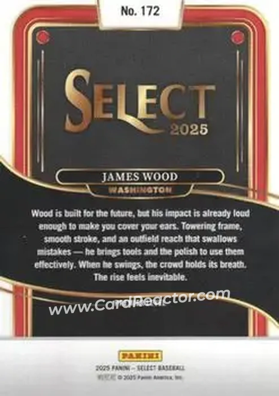 Back of James Wood