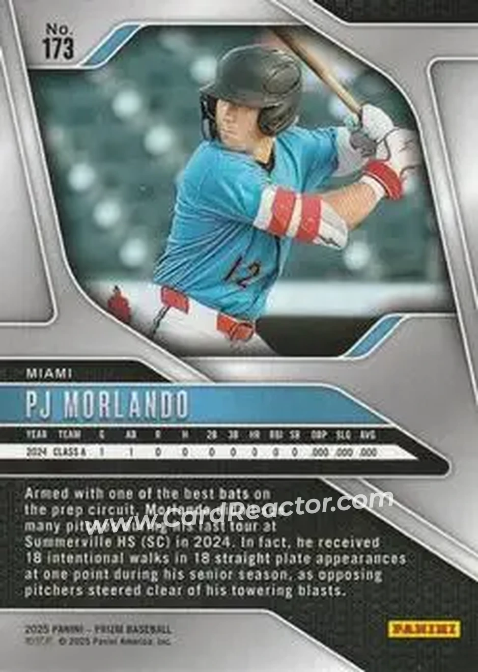 Back of PJ Morlando