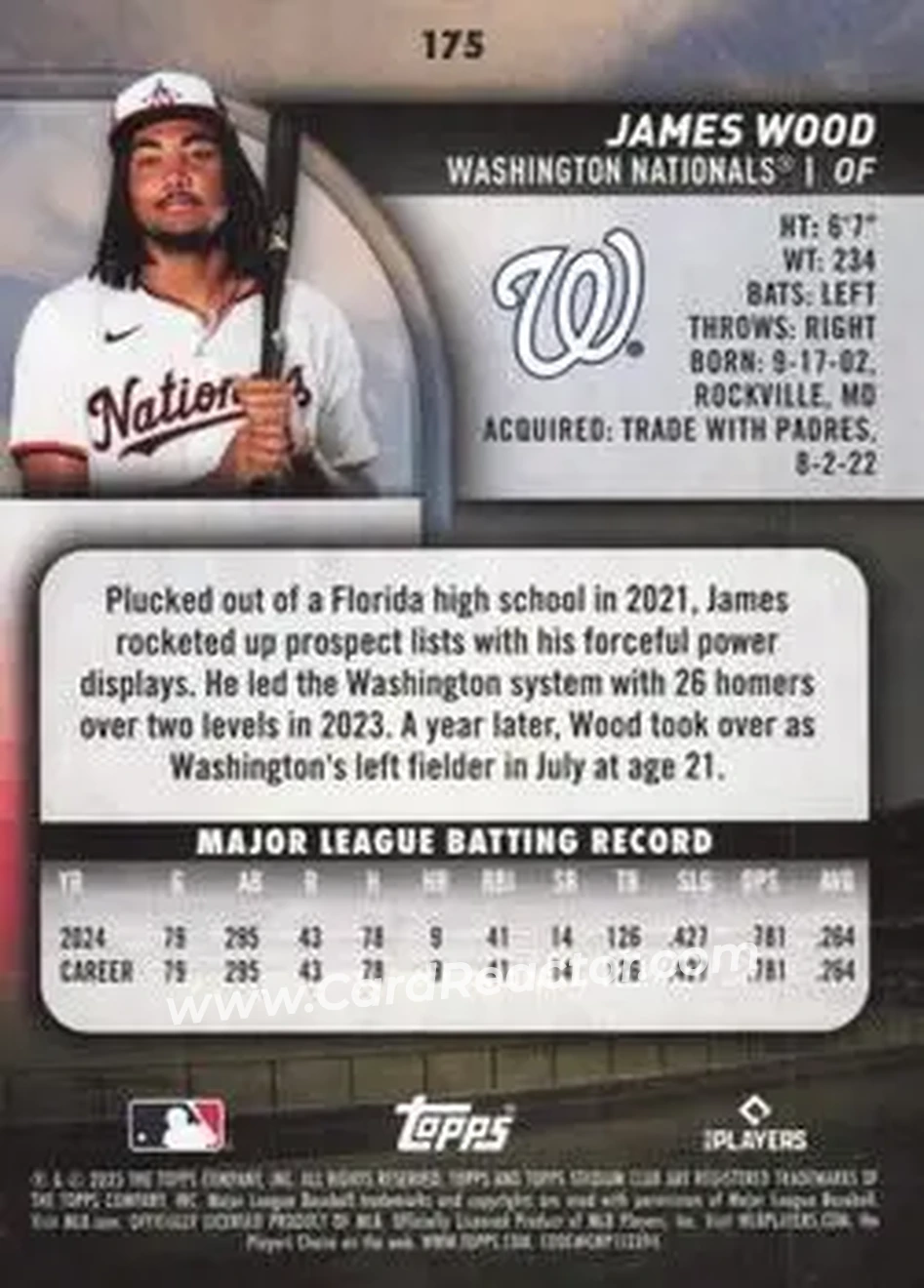 Back of James Wood
