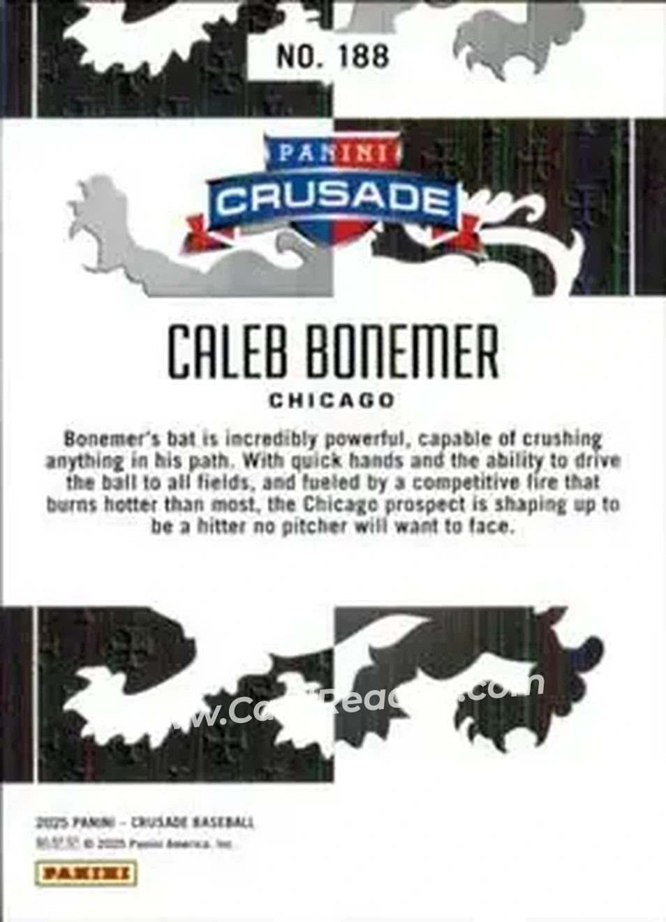 Back of Caleb Bonemer