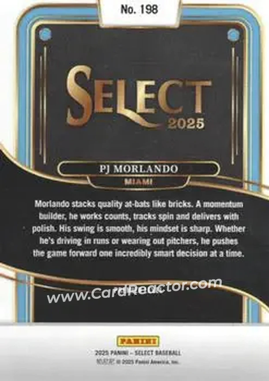 Back of PJ Morlando