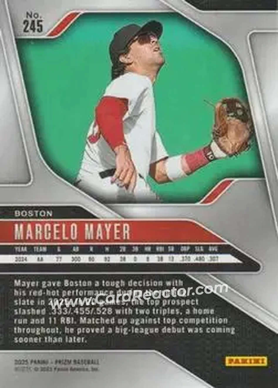 Back of Marcelo Mayer