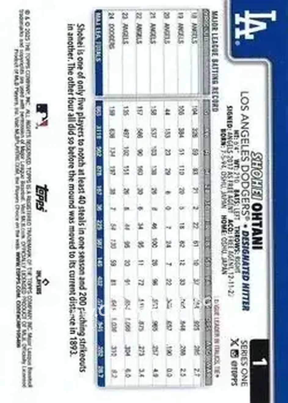 Back of Shohei Ohtani