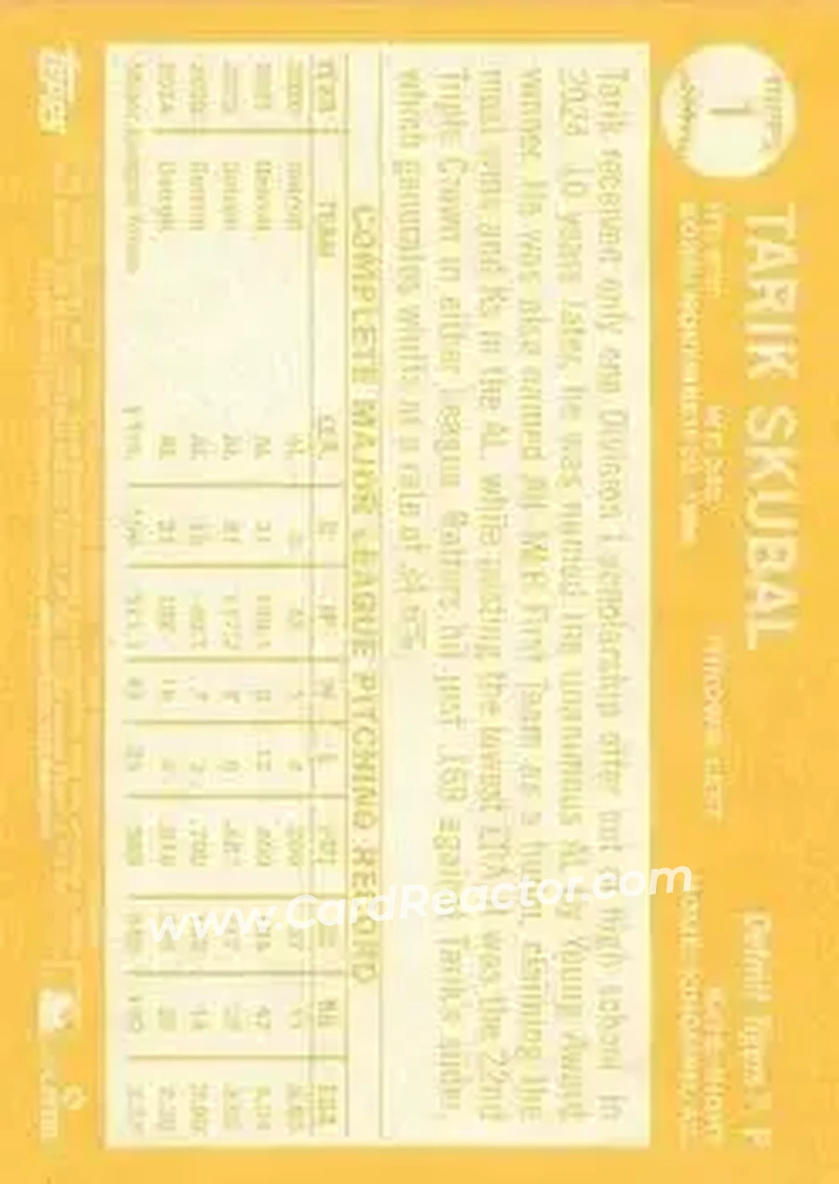 Back of Tarik Skubal
