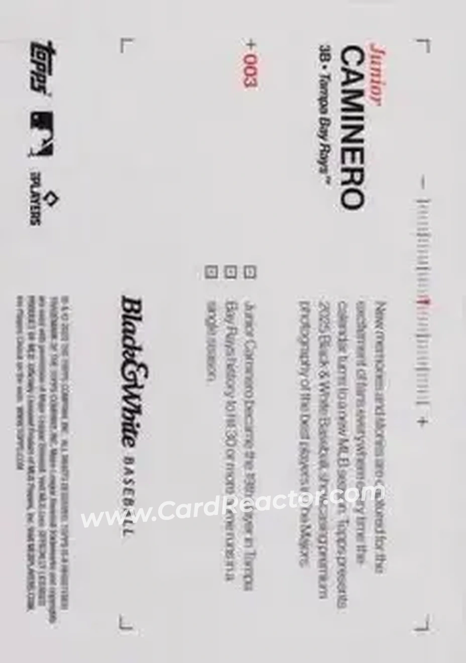 Back of Junior Caminero