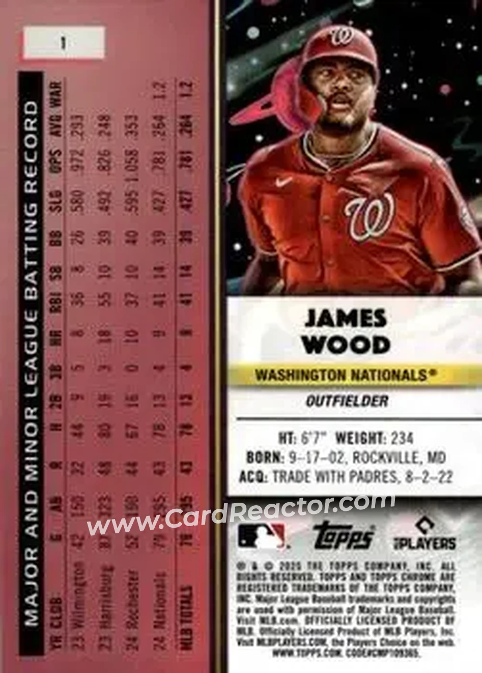 Back of James Wood