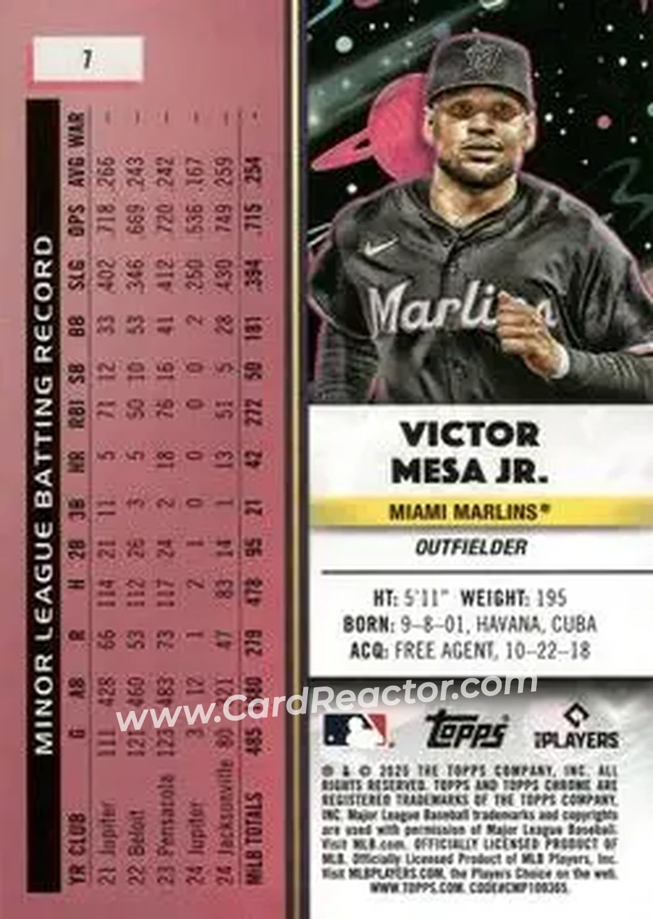 Back of Victor Mesa Jr.