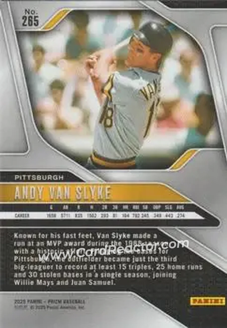 Back of Andy Van Slyke