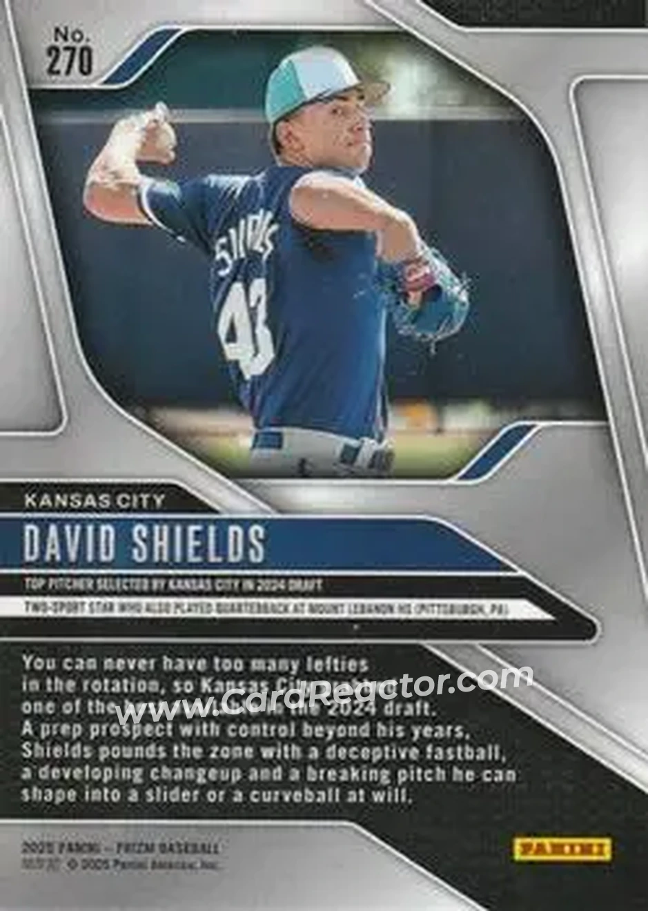 Back of David Shields