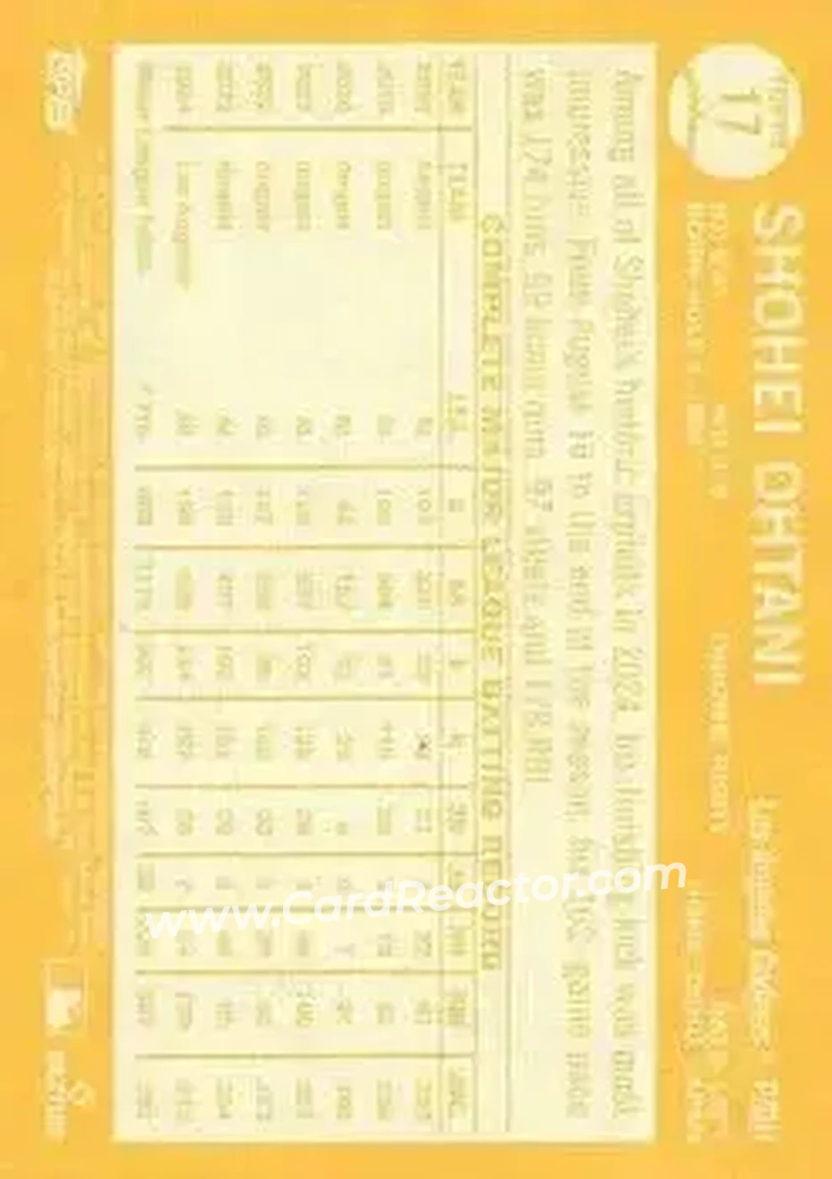 Back of Shohei Ohtani