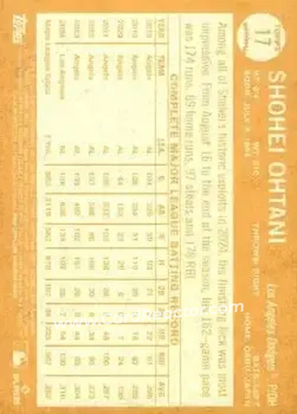 Back of Shohei Ohtani